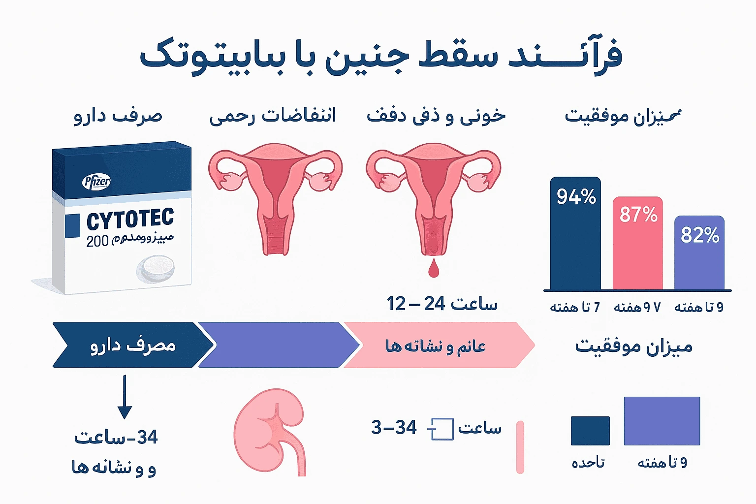 مراحل سقط جنین با قرص سایتوتک (میزوپروستول) - اینفوگرافیک فرآیند کامل از مصرف تا تکمیل سقط